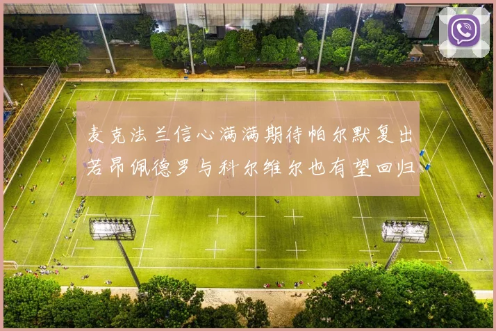 麦克法兰信心满满期待帕尔默复出若昂佩德罗与科尔维尔也有望回归